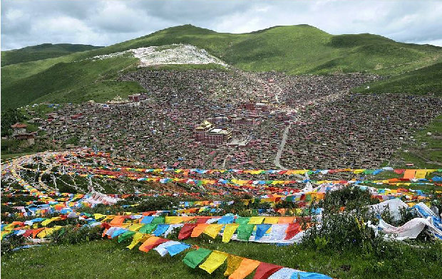 Image2.jpg
