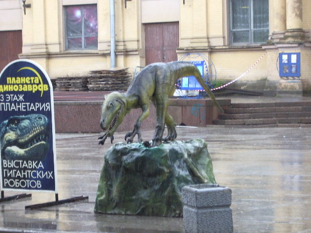 122.JPG