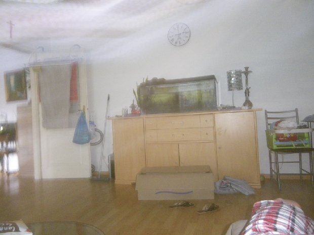 IMGP1527.JPG22222.jpg