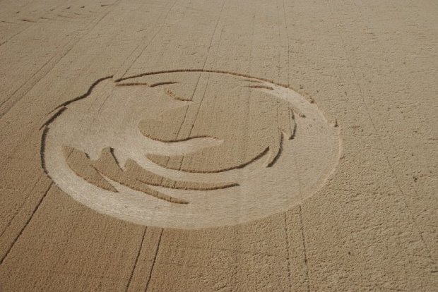 Firefox crop circle.jpg