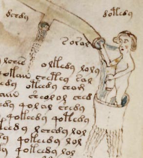 Manuscrit Voynich