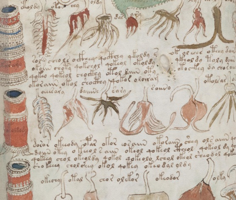 Manuscrit Voynich